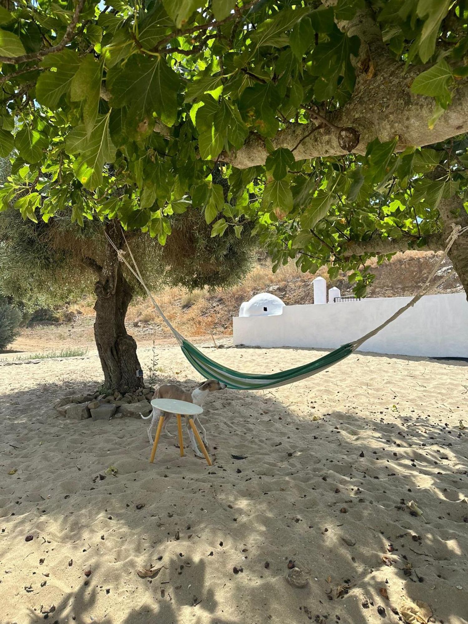 Magnifica Casa A Orillas Del Guadiana Huelva Luaran gambar
