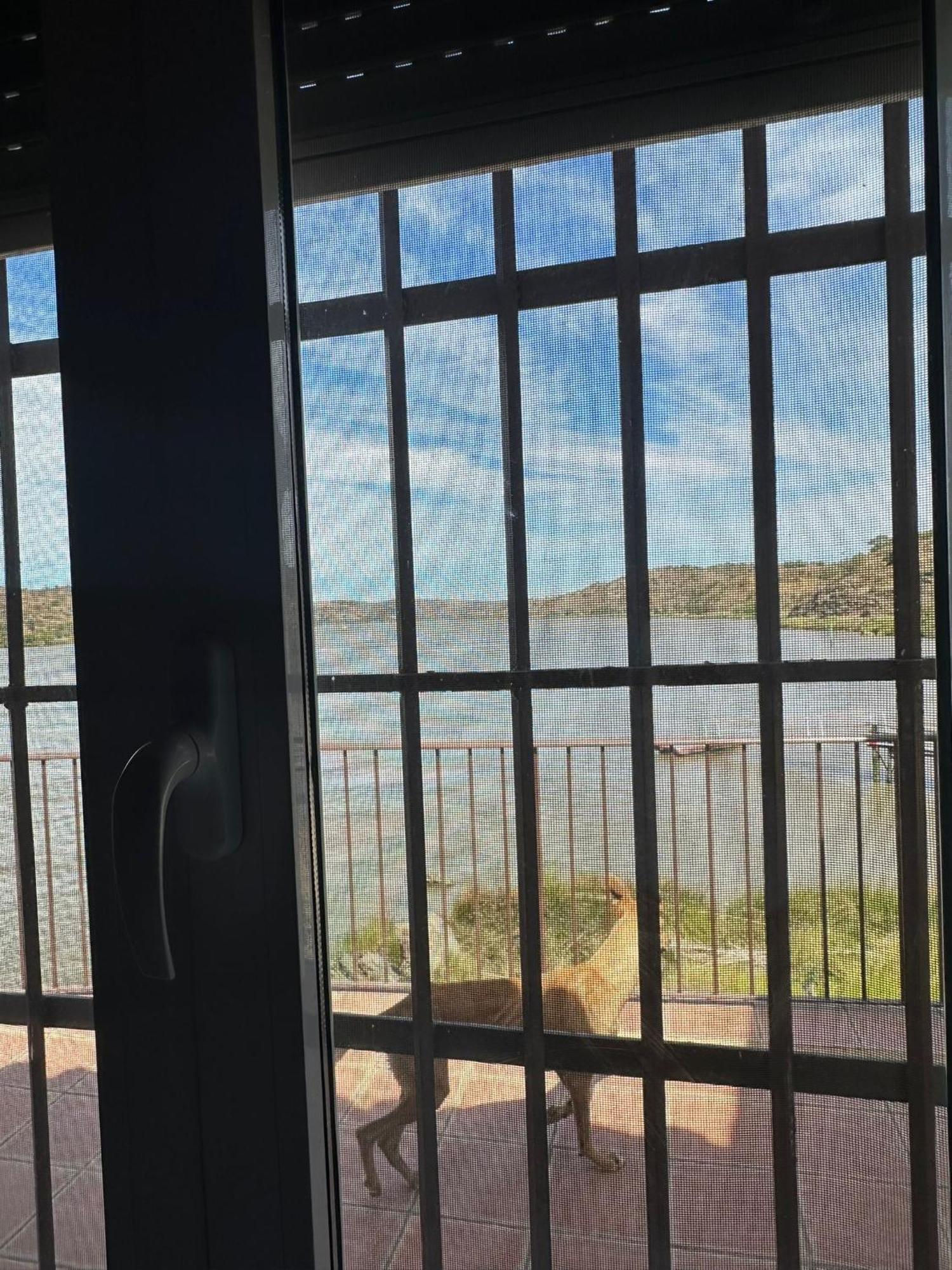 Magnifica Casa A Orillas Del Guadiana Huelva Luaran gambar